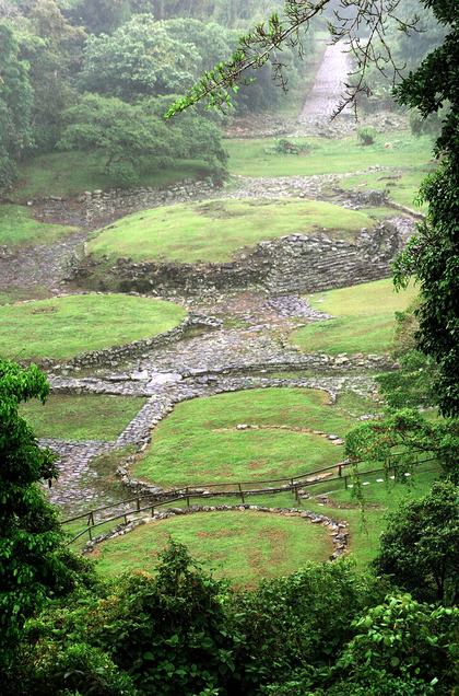 Pre-Columbian archaeological ruins hidden in a lush rainforest, revealed by modern satellite technology. Scientists use NASA imagery to discover lost ancient cities buried under centuries of jungle growth.