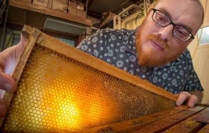 Why Keep Bees? Purpose and Blessing