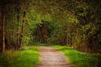 Dominion and Stewardship: Genesis 1-2 and the Land