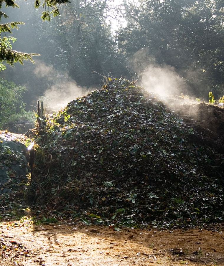 Compost heap on a frosty morning. The rising steam shows that the bacterial action in the compost heap is exothermic.